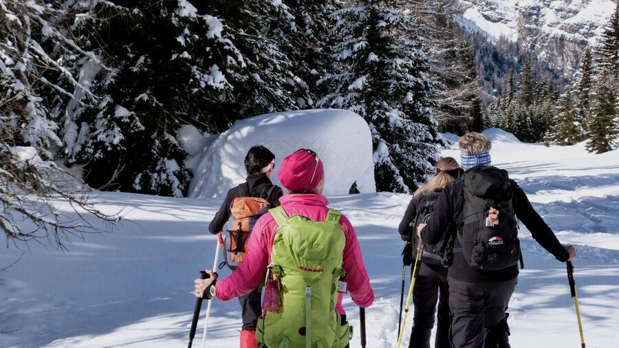 Innsbruck: Priv. Guided Snowy Mountain Hike /Snowshoe´s - The Mountain Route Names: Hafelekar, Patscherkofel, Hochmahd, Patscheralm, Boscheben