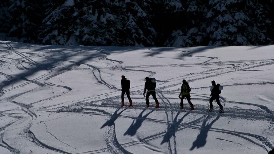 Innsbruck: Priv. Guided Snowy Mountain Hike /Snowshoe´s - Snowshoeing, Fitness, and Safety in Open Winter Terrain