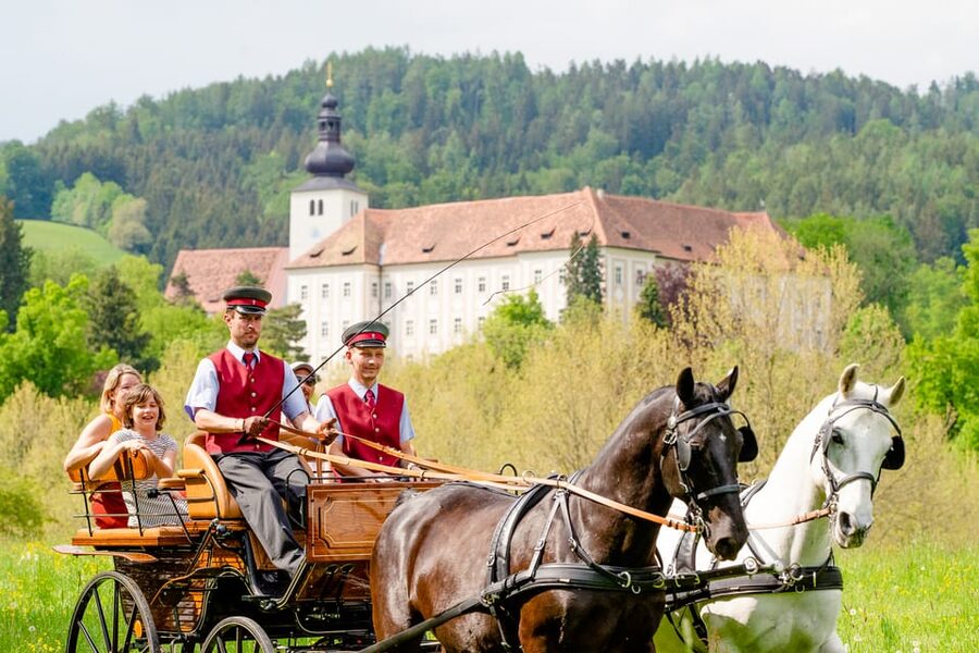 Lipizzaner Stud Piber: Guided Tour - Language Fit: German Tours and Requesting English