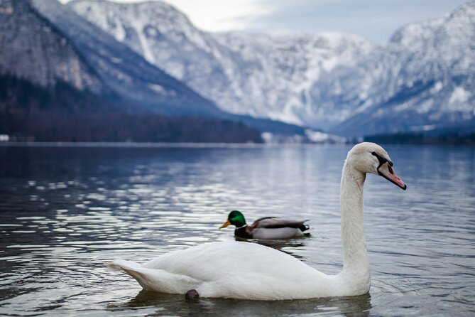 Magical Hallstatt Day Trip from Vienna - How to use your self-exploration time without missing the best parts