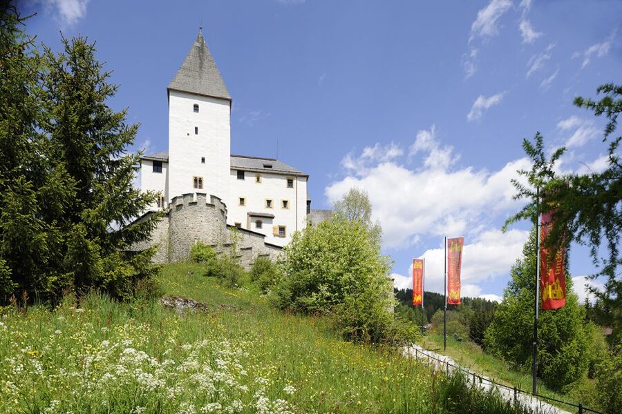 Mauterndorf: Castle Entrance Ticket - Key Points You Should Know Before You Go