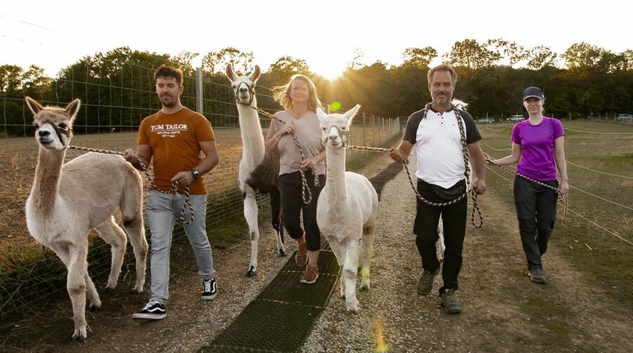 Mödling/Vienna: Scenic Guided Hike with Alpacas and Llamas - Key things that make this tour special