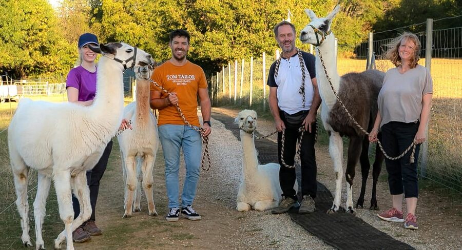 Mödling/Vienna: Scenic Guided Hike with Alpacas and Llamas - The halfway break: fields, photos, and relaxing your grip