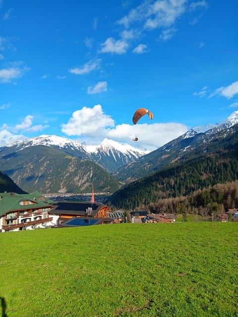 Paragliding Tandem Flight - Who Should Book This Paragliding Tandem Flight in Tyrol?