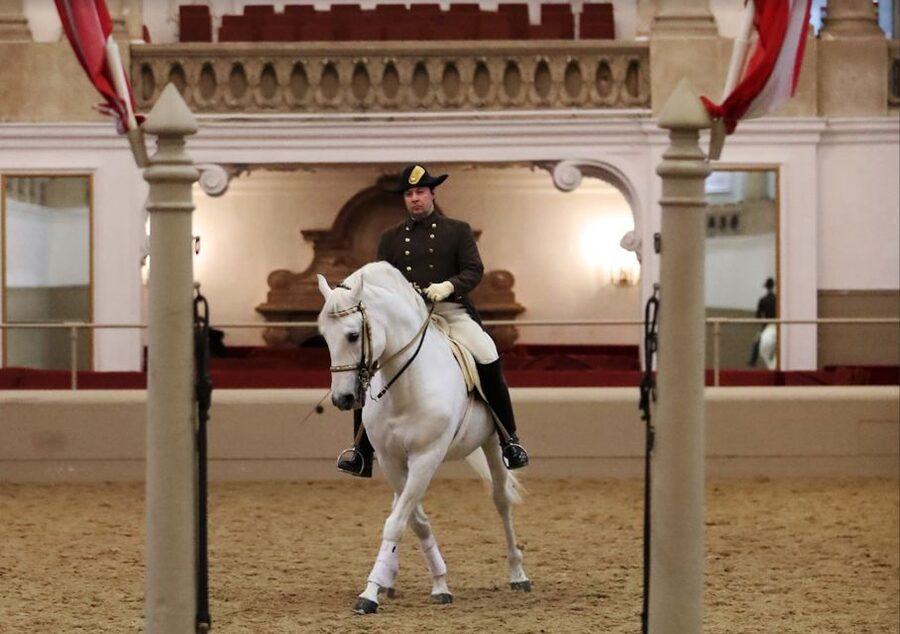Performance Of The Lipizzans At Spanish Riding School - Lighting, Classical Music, and the Mood of Each Performance