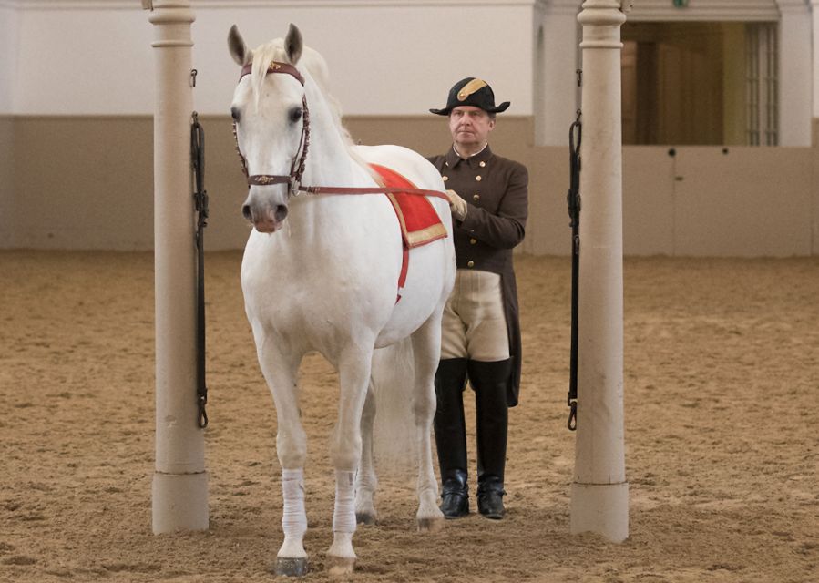 Performance Of The Lipizzans At Spanish Riding School - Where to Go in Vienna: Visitor Center and Michaelerplatz 1