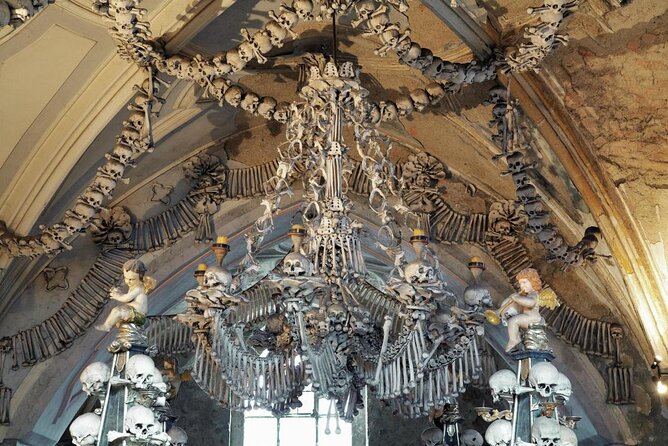 Prague-Vienna One-Way Sightseeing Day Tour - Key points before you go