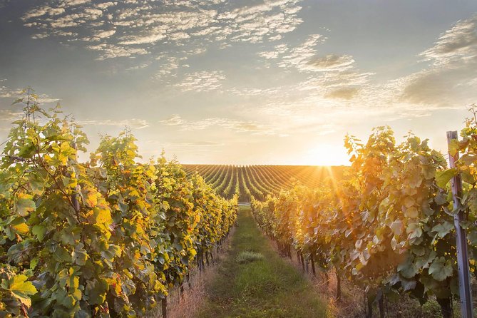 Prague-Vienna One-Way Sightseeing Day Tour - Why this Prague-to-Vienna plan beats a train day