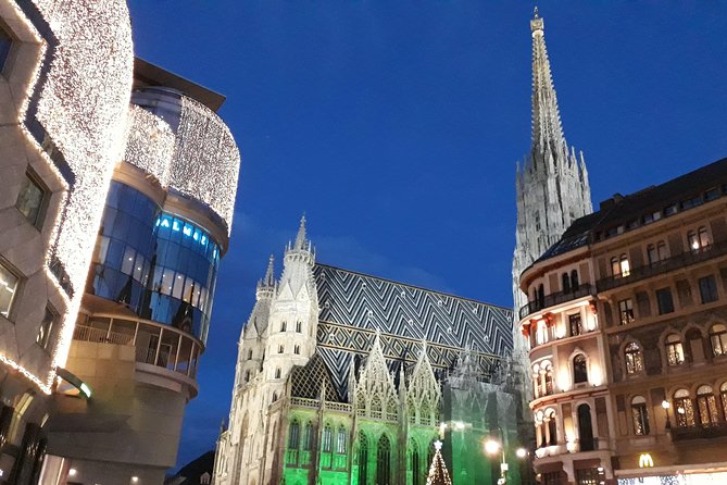 Private Christmas Markets Walking Tour Vienna - Private guide impact: what makes this tour feel personal
