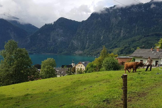 Private Day Trip from Vienna to Hallstatt - The people factor: Balazs driving, Helga guiding in town