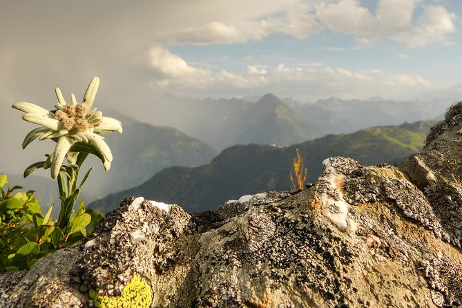 Private Eagle's Nest & The Hills are Alive - Leaving the City: Palaces by Lake and the Sound of Music Backstory