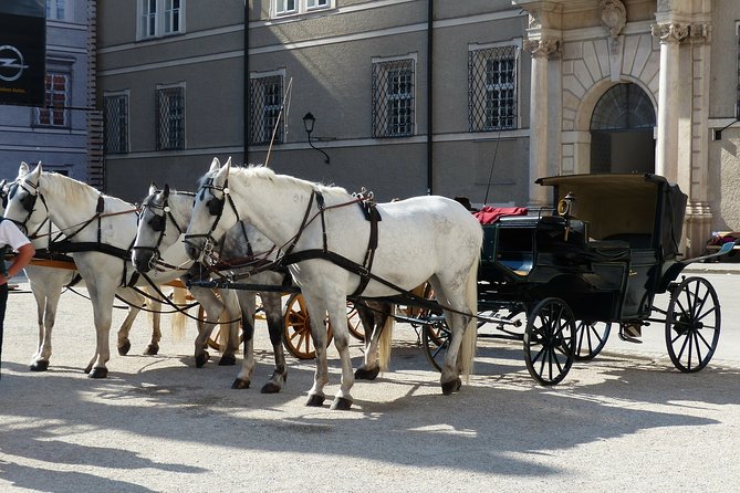 Private full day tour to Salzburg from Vienna with a local guide - Mozart’s birthplace area: what to listen for while you pass it