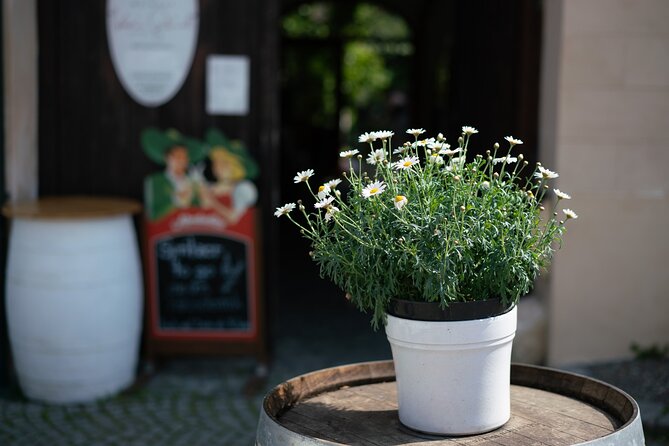 Private Guided Full Day Tour to charming Burgenland region with Wine tasting - Wine day pacing: what you should expect to taste and how to plan