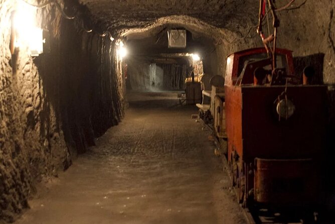 Private guided tour from Vienna to Hallstatt with Skywalk & Salt Mine Experience - Price and value: what $599 per person is really buying