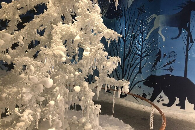Private Half-day Tour to Swarovski Crystal World in Wattens - What your private guide adds, including Anna’s Swarovski connections