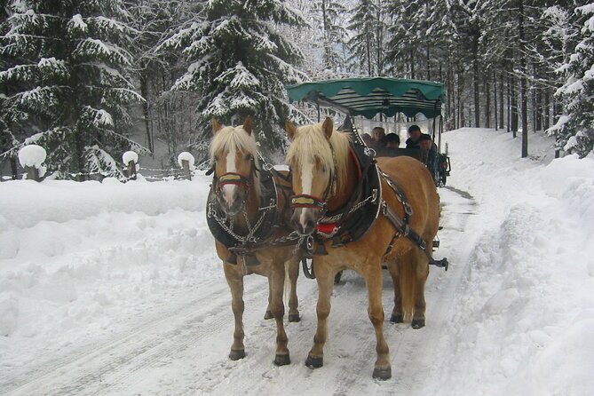 Private Horse-Drawn Sleigh Ride from Salzburg - Key highlights worth marking on your plan