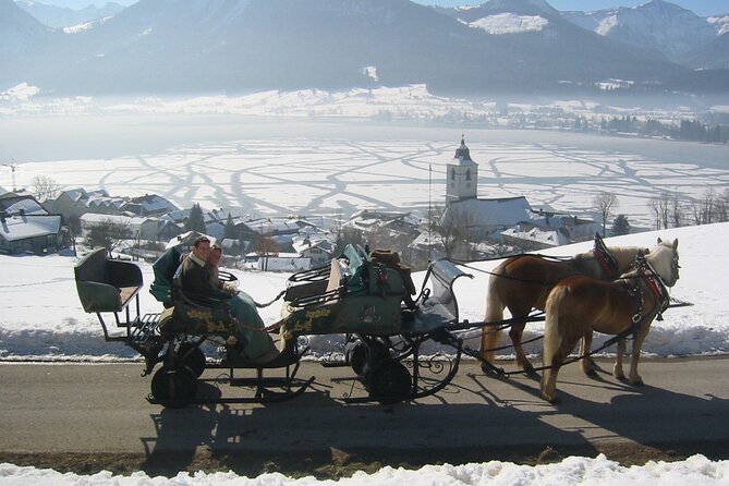 Private Horse-Drawn Sleigh Ride from Salzburg - Price check: $826.80 per group, and when it actually feels like value