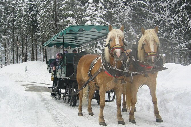 Private Horse-Drawn Sleigh Ride from Salzburg - What to wear and how to plan for a winter ride that lasts