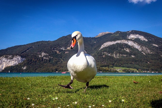 Private Lake District, St. Wolfgang and St. Gilgen Tour - A Private Lake District Day, Run Like a Real Plan