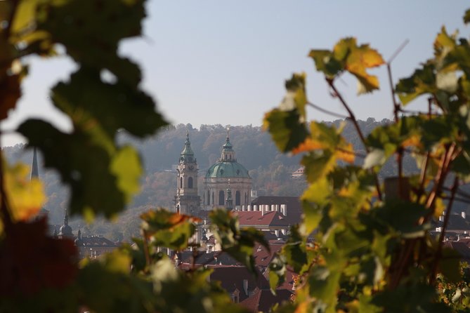 Private Scenic Transfer from Salzburg to Prague with 4h of Sightseeing - Door-to-door pickup and smooth arrival in Prague