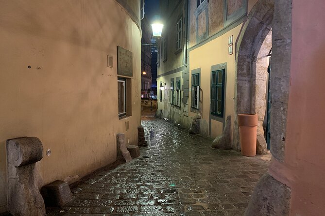 Private Spooky Vienna Ghost Tour - Family-friendly spooky: what you should expect with kids