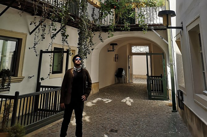 Private tour of historical Vienna with Jan - Stadtpark, Ringstrasse Views, and a Short Escape From Old Streets