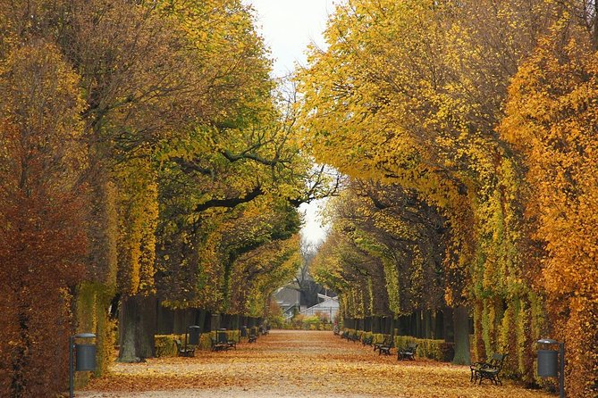 Private transfer from Salzburg to Vienna, 2 hours for sightseeing - Tickets, Meals, and What You Need to Plan Yourself