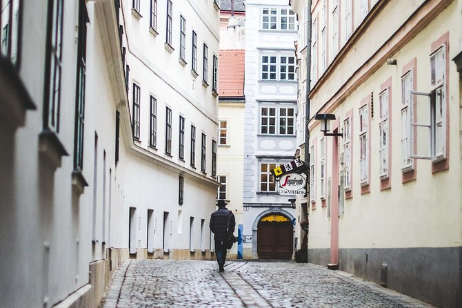 Private transfer from Salzburg to Vienna with 4h of Sightseeing - Vehicle Choice and Luggage Reality Check