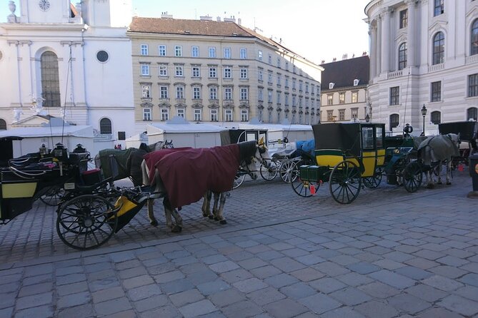 Private Transfer from Venice to Vienna or Vienna to Venice - Pickup Points In Vienna And Piazzale Roma In Venice