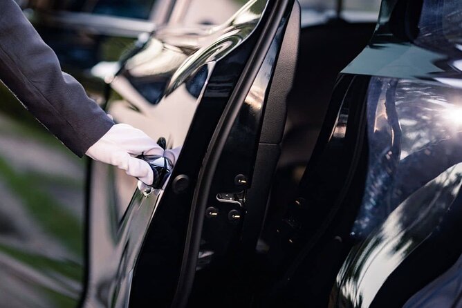 Private Transfer from Vienna City to Vienna Airport (One Way) - Price and Group Discounts: When $81.62 Is Good Value