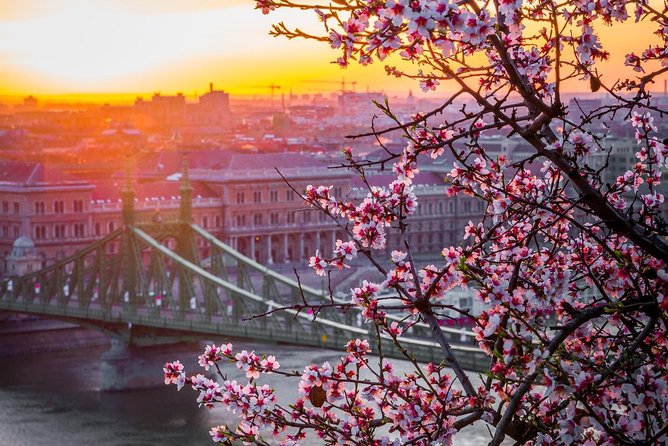 Private Transfer from Vienna to Budapest with 2 hours for sightseeing - When traffic hits: alternate routes and stress-free timing