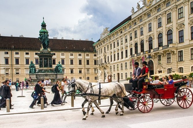 Private Vienna City Tour with Schonbrunn Palace Visit - Ringstrasse, Parliament, and the grand Vienna drive