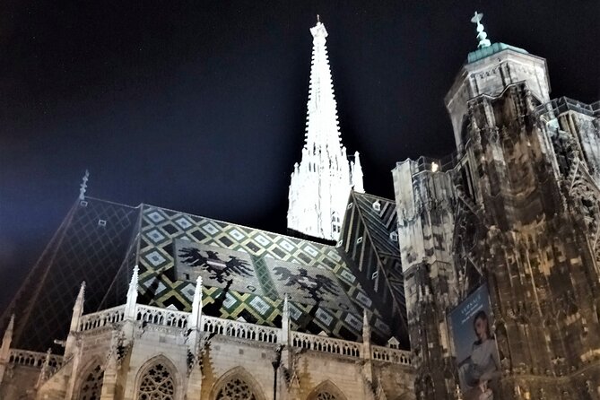 Private Vienna Evening Walk — Orientation for Your First Night - Heldenplatz: Heroes’ Square and the balcony memory of 1938
