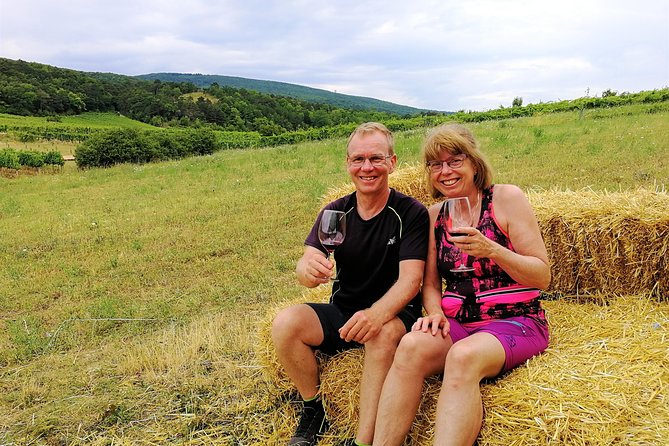 Private Vienna Woods Wine Tour - Who this tour is best for