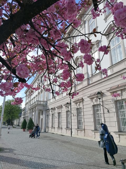 Salzburg: Classical Music Concert at the Mirabell - Where to go: the Schlosskirche Mirabell entrance behind the bus station