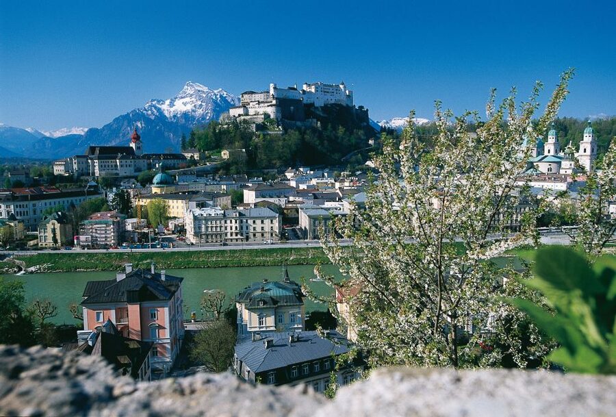 Salzburg: Sound of Music Private Half-Day Tour - A Private 4-Hour Circuit Through Sound of Music Salzburg