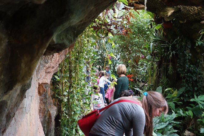 Schmetterlinghaus - Imperial Butterfly House Vienna Admission Ticket - Waterfalls, plants, and the “small but satisfying” feeling