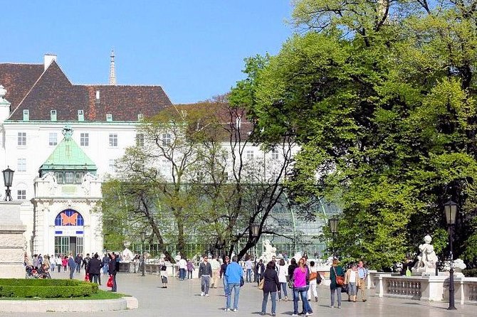 Schmetterlinghaus - Imperial Butterfly House Vienna Admission Ticket - How long you should plan: short visit, big mood shift