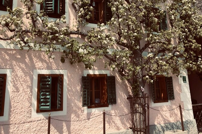 Self-Guided Private Tour of Hallstatt. Best photo-points, panoramic views, cafes - Salzwelten and SkyWalk: optional tickets and the June 2026 closure note