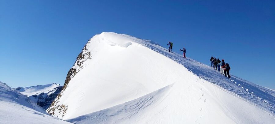 Snowshoe tour Ifen/Gottesacker Allgäu Kleinwalsertal - From Snow-Company Skiservice to Ifenbahn Area