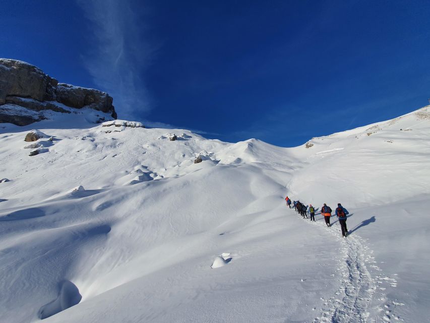Snowshoe tour Ifen/Gottesacker Allgäu Kleinwalsertal - The Main Event: Gottesacker Plateau Panorama