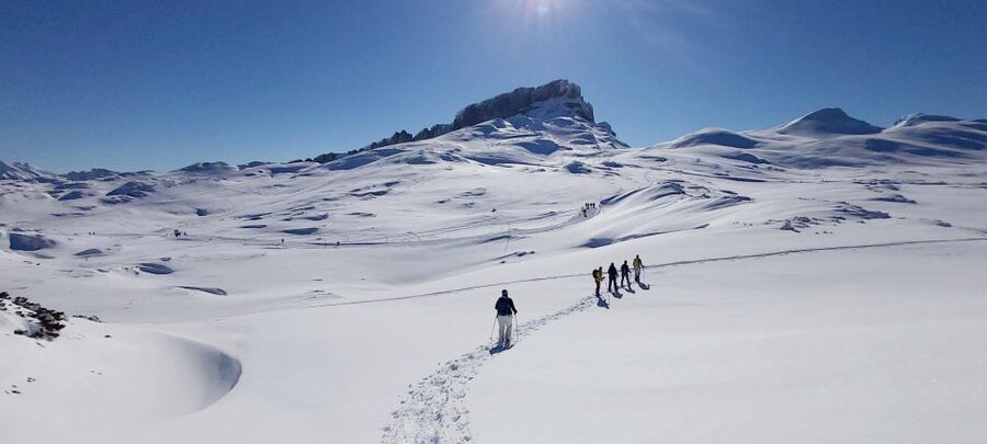 Snowshoe tour Ifen/Gottesacker Allgäu Kleinwalsertal - Who This Tour Is Best For