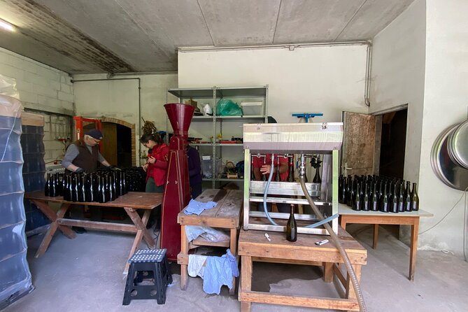 Taste and Tour Small Organic Wineries with a Winemaker - Vienna To Krems By Wine Country Reality Check
