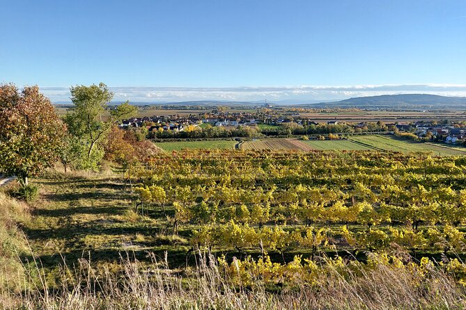 Taste and Tour Small Organic Wineries with a Winemaker - Finish At Ausblick am Welterbesteig: A 7 To 10 Minute Walk With Big Views
