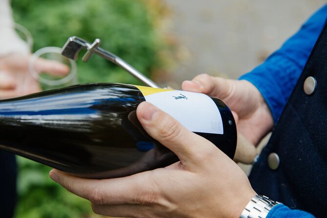 Taste and Tour Small Organic Wineries with a Winemaker - What The Tastings Really Mean For Your Money