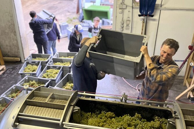 Taste and Tour Small Organic Wineries with a Winemaker - How The 3-Hour Flow Fits A Real Day