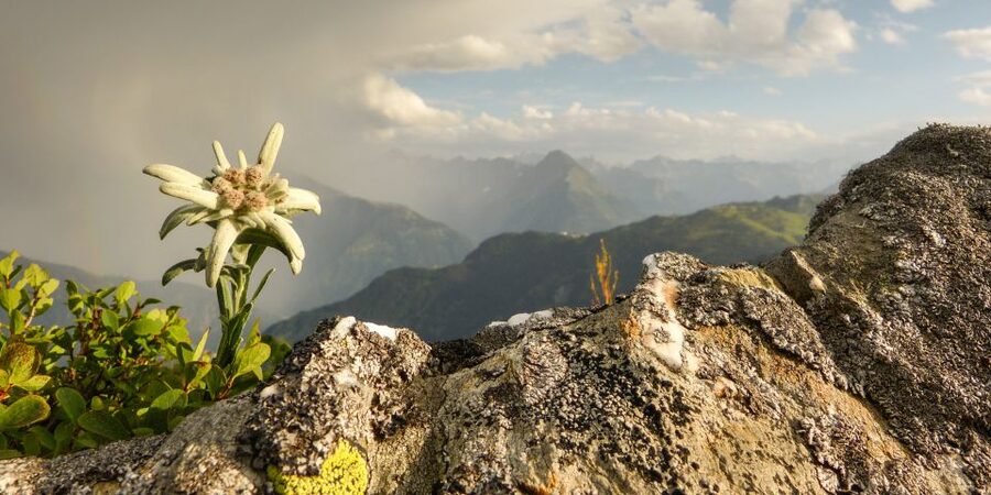 The Hills Are Alive Private "Do-Re-Mi" Tour - The Lueg Pass to Werfen, gorges, and the picnic spot panorama