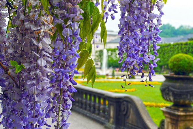 Transfer from Vienna to Salzburg with 2 hours for sightseeing - Choosing your sightseeing stop from the six options