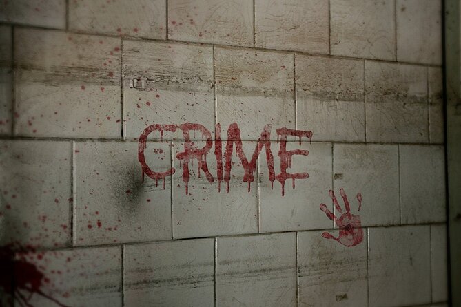 True Crime mobile puzzle rally Vienna - Price and time: is $26.50 worth it for a 90-minute game?