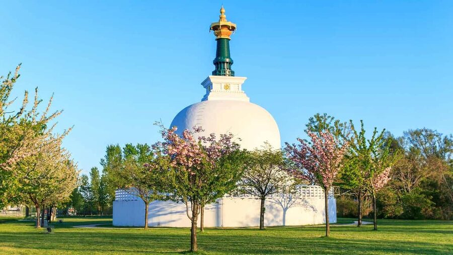 Vienna: 2-hour Danube Panorama Tour - Should you book the Vienna Danube Panorama Tour?